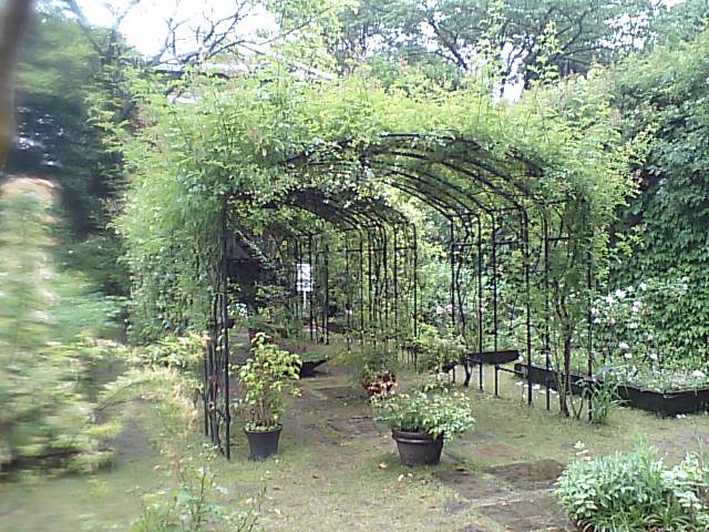 d0054704_01025.jpg