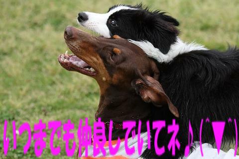 e0100007_22193669.jpg