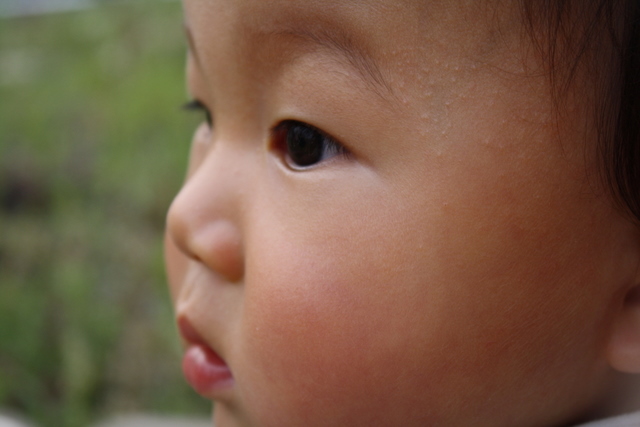 f0038407_22145212.jpg