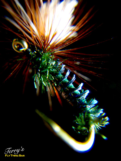 My Peacock Parachute_e0009009_2054498.jpg