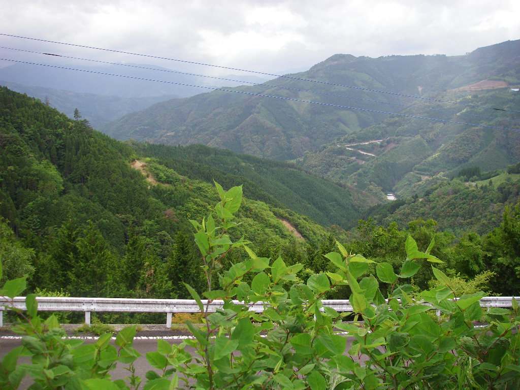 f0115410_11235552.jpg