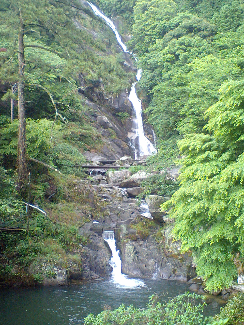 f0177113_10445724.jpg