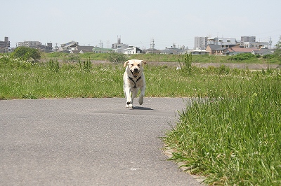 エル・パソで超常現象の墓場_f0191413_10291588.jpg