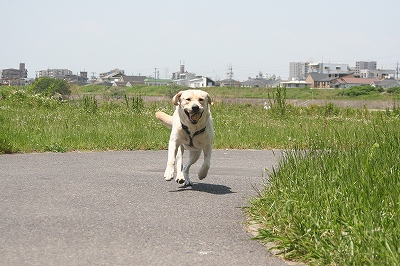 エル・パソで超常現象の墓場_f0191413_10304670.jpg