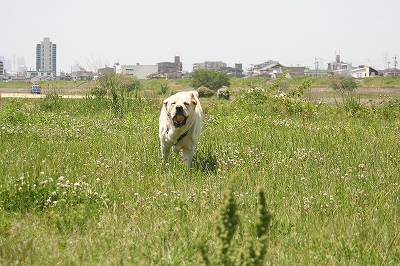 f0191413_11203131.jpg