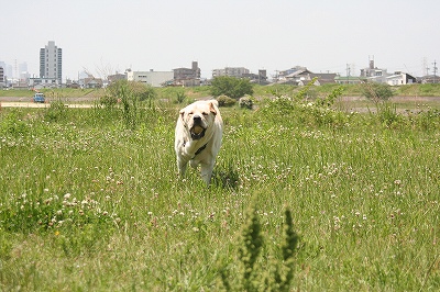 エル・パソで超常現象の墓場_f0191413_11203131.jpg