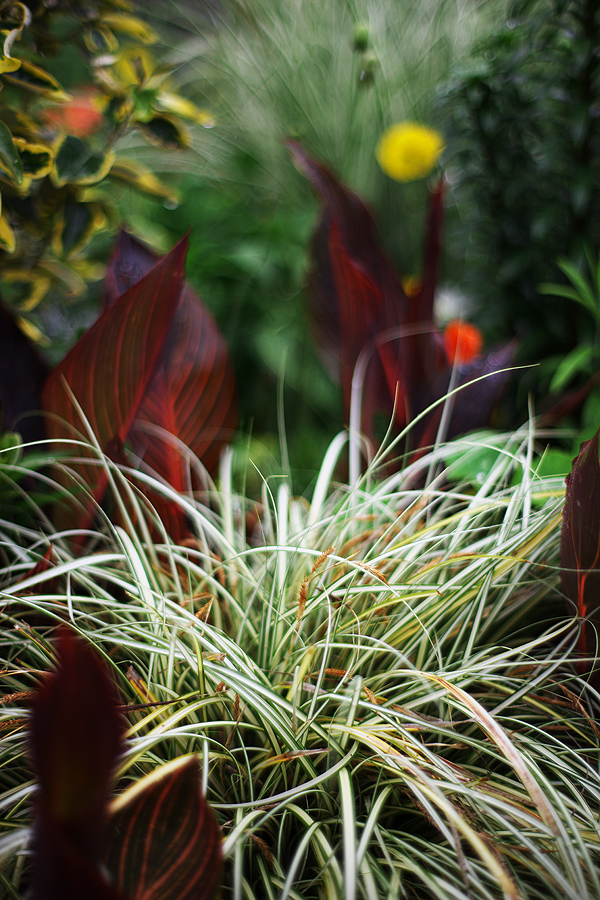 c0115616_35542.jpg