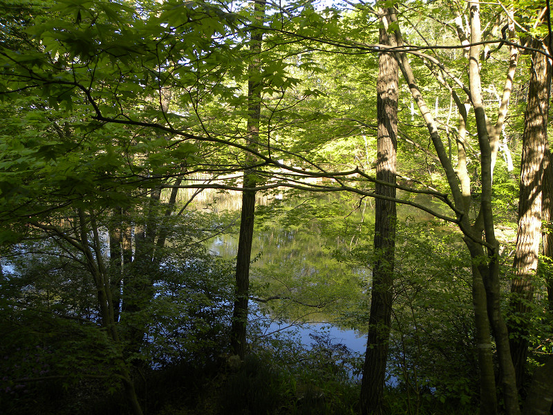 e0136424_19394842.jpg