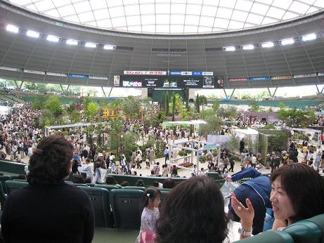 f0166824_11313697.jpg