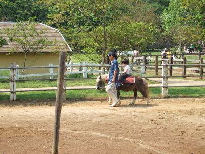 2009年初キャンプ_a0038328_213323.jpg