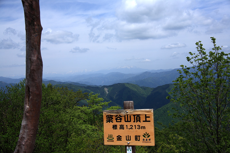 e0025930_2052912.jpg