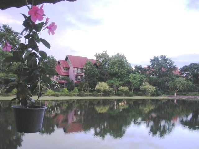 c0127933_7525817.jpg