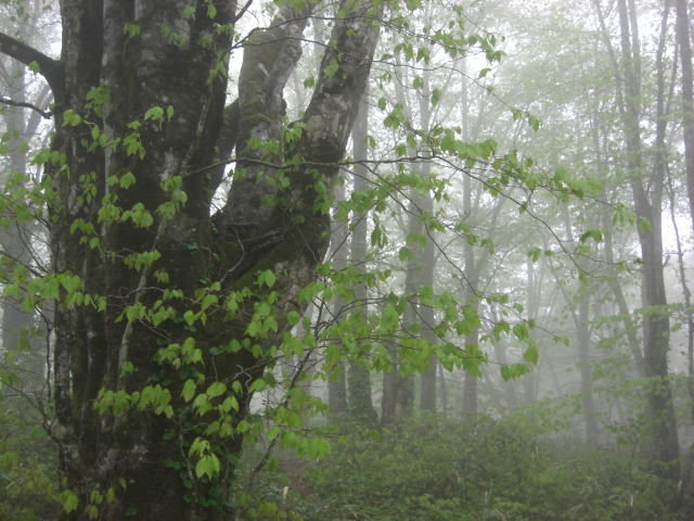 f0020336_1234454.jpg