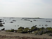 a0117039_2214922.jpg