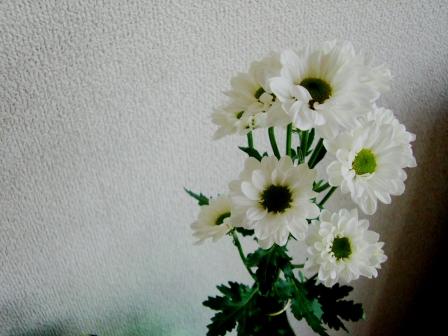 e0040041_830848.jpg