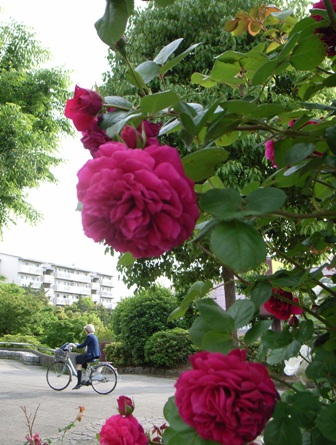 f0171541_17222226.jpg