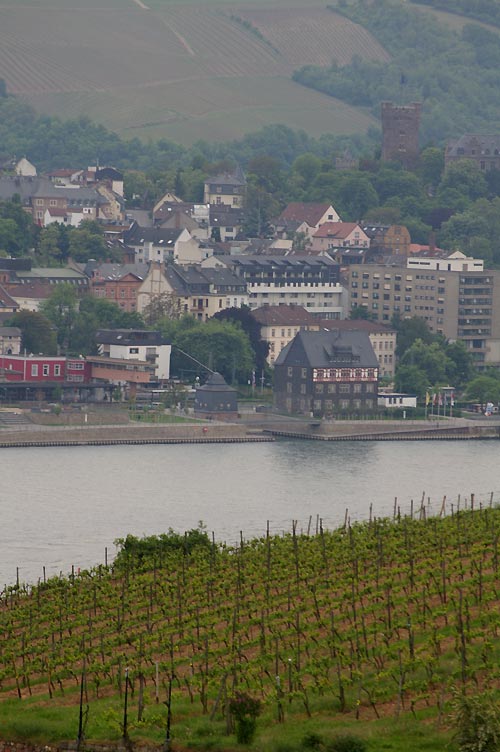 d0024242_2213099.jpg