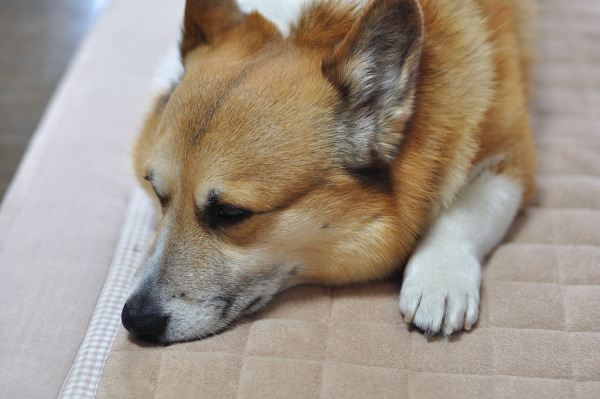 　風雨の激しかった日_c0150545_1213330.jpg