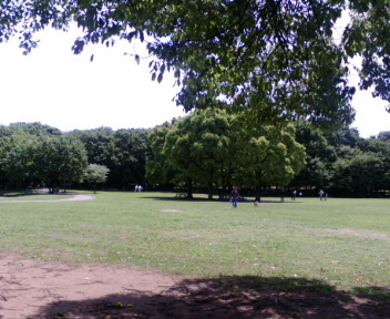 公園でランチ_c0010648_22284847.jpg