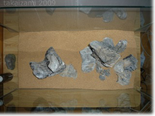 e0139056_22948100.jpg