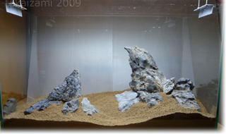 e0139056_2295884.jpg