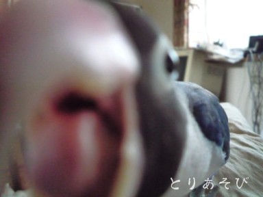 e0147757_16551696.jpg