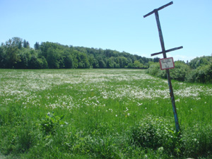 e0103663_635972.jpg