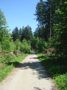 e0103663_64189.jpg