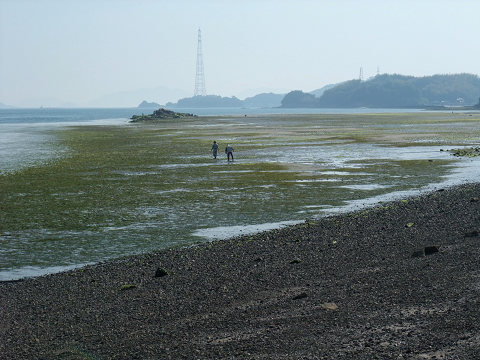 e0045768_2221135.jpg