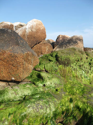e0045768_22214529.jpg