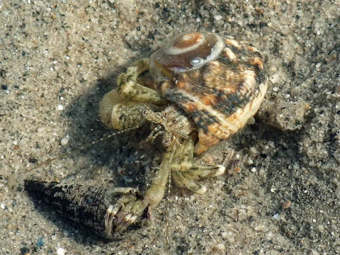 e0045768_22253897.jpg