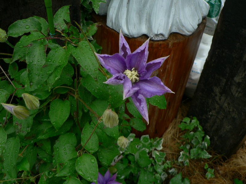 f0065568_2239796.jpg