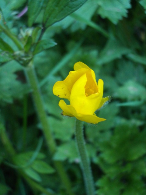 b0183670_10563944.jpg