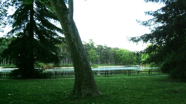 f0119071_6146.jpg