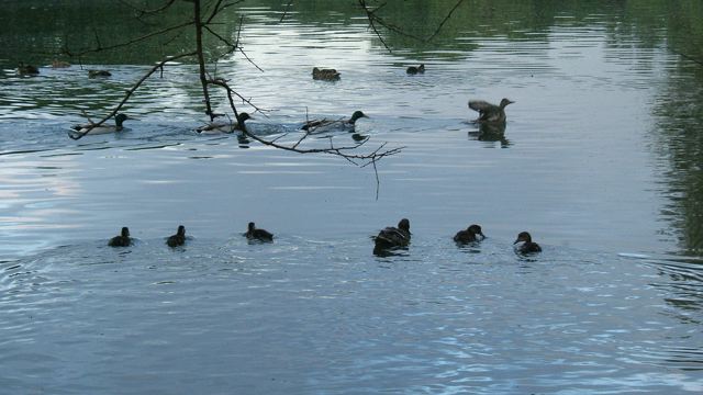 f0119071_616578.jpg