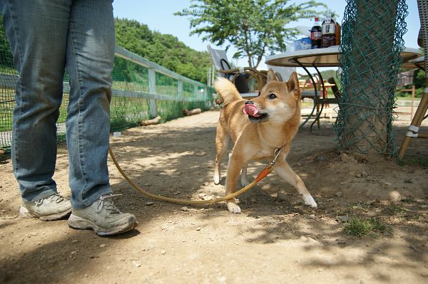 ストーリーファーム最終日 01_c0109780_22101048.jpg