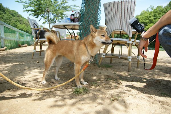 ストーリーファーム最終日 01_c0109780_22101951.jpg