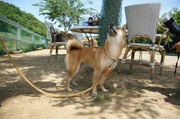 ストーリーファーム最終日 01_c0109780_22102514.jpg