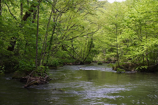 e0165983_16383033.jpg