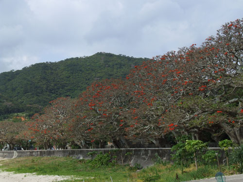 e0028387_21560.jpg