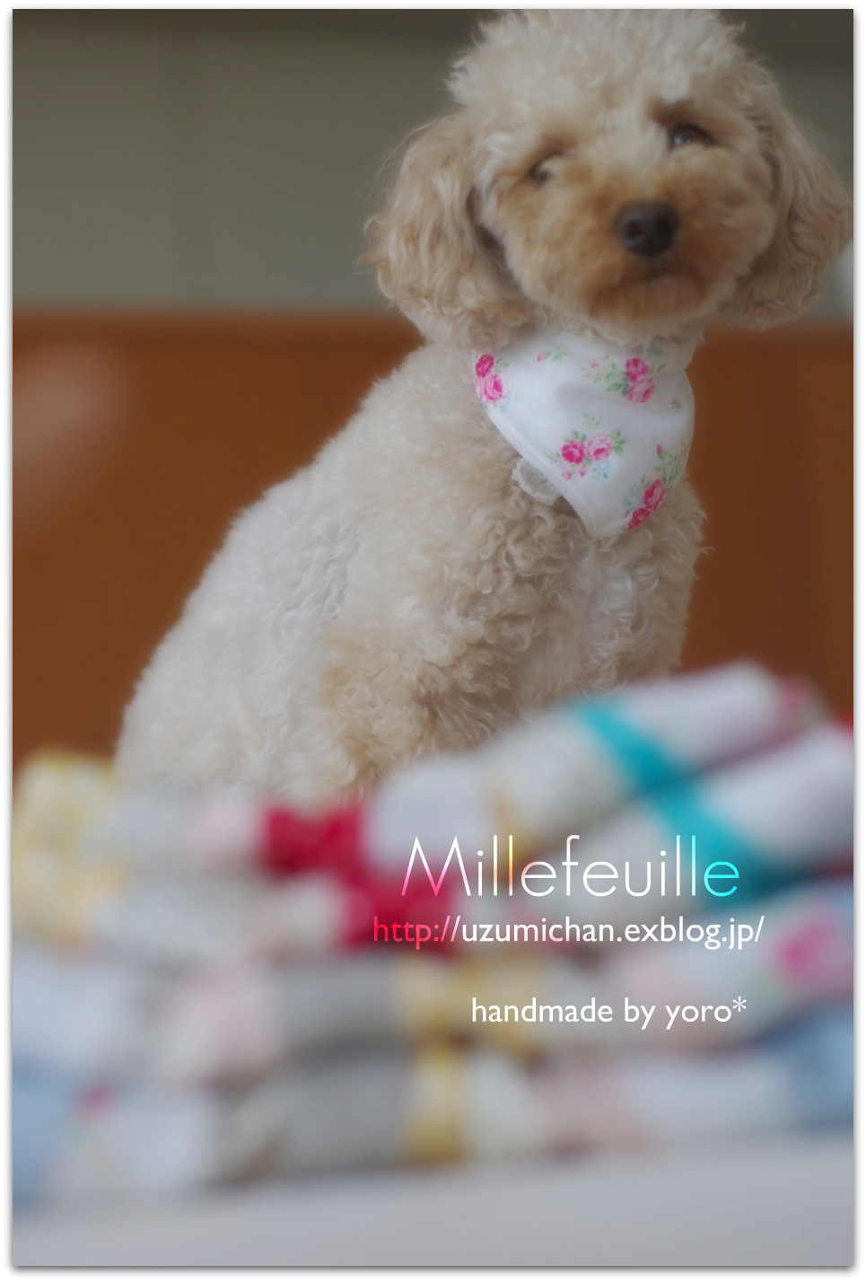 新作。。。。Millefeuille*_e0152393_1783912.jpg