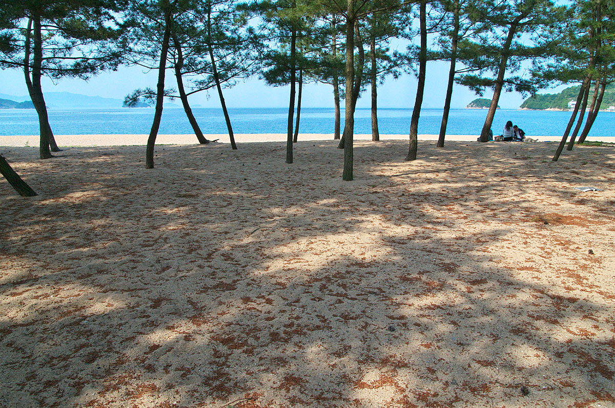 d0146295_2349880.jpg