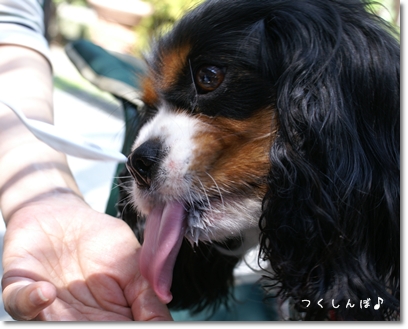 富士山麓合宿その四_b0154296_21445665.jpg