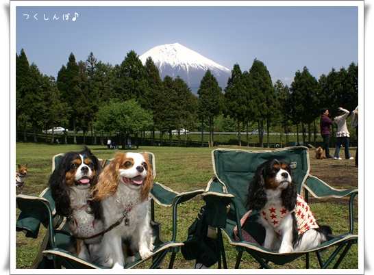 富士山麓合宿その四_b0154296_21465511.jpg