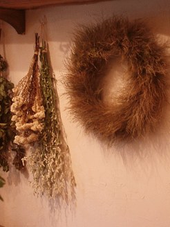 c0129702_1031451.gif
