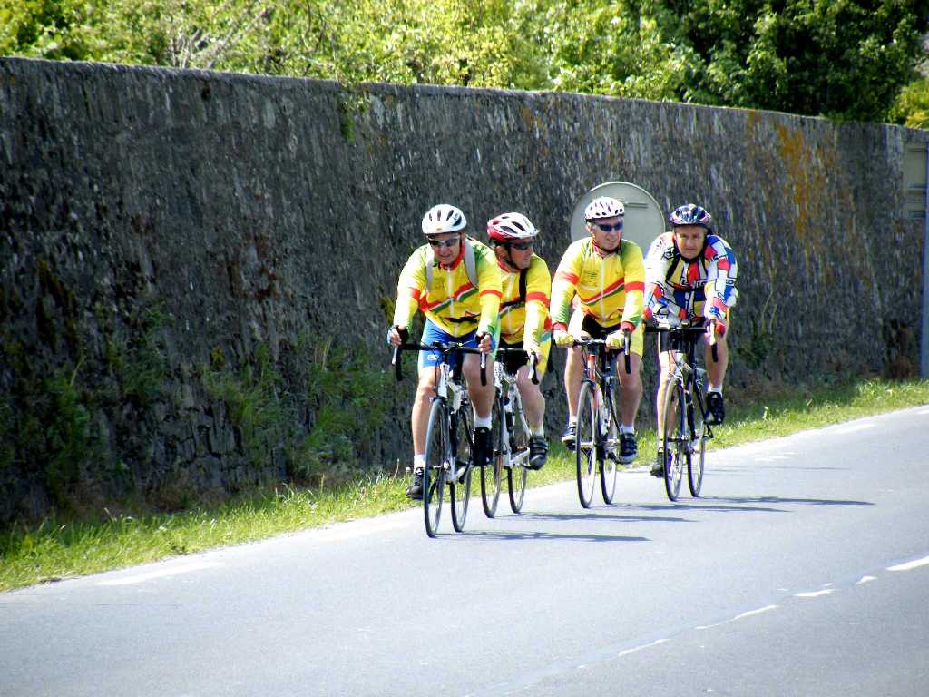 d0140806_3141744.jpg
