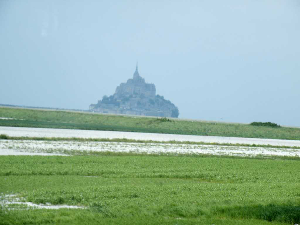 d0140806_372014.jpg