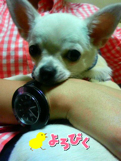 a0105809_083066.jpg
