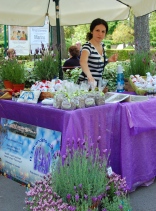 Festa dei fiori@Pienza_f0062510_21322735.jpg