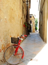 Festa dei fiori@Pienza_f0062510_21471936.jpg